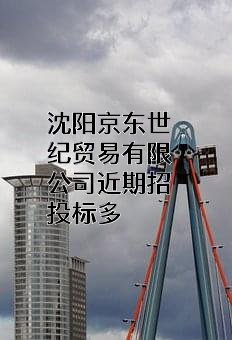 沈阳京东世纪贸易有限公司