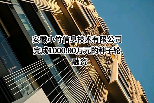 安徽小竹信息技术有限公司完成1000.00万元的种子轮融资