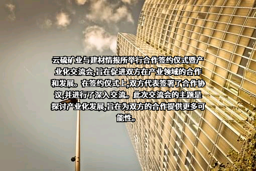 云南云硫矿业有限公司
