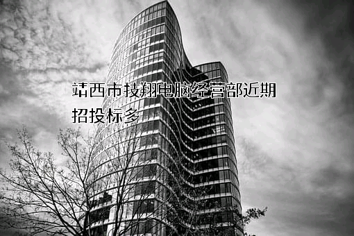 靖西市技翔电脑经营部