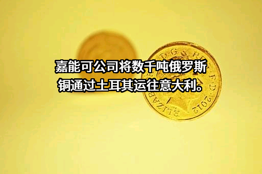嘉能可有限公司