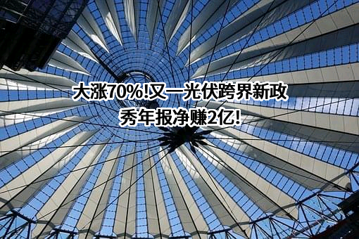 大涨70%!又一光伏跨界新政秀年报净赚2亿!