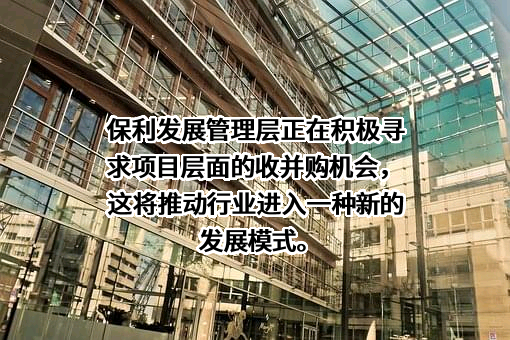 保利发展控股集团股份有限公司