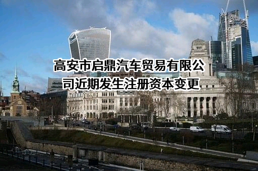 高安市启鼎汽车贸易有限公司