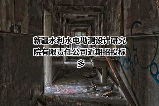 新疆水利水电勘测设计研究院有限责任公司