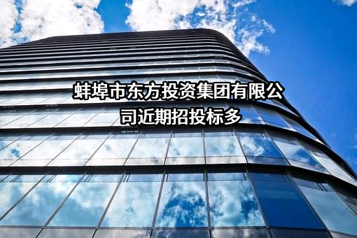 蚌埠市东方投资集团有限公司