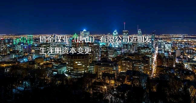 博金煤业（唐山）有限公司