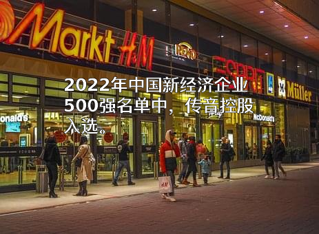 深圳传音控股股份有限公司
