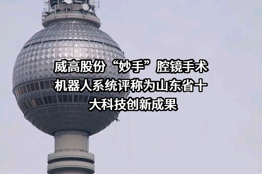 山东威高集团医用高分子制品股份有限公司