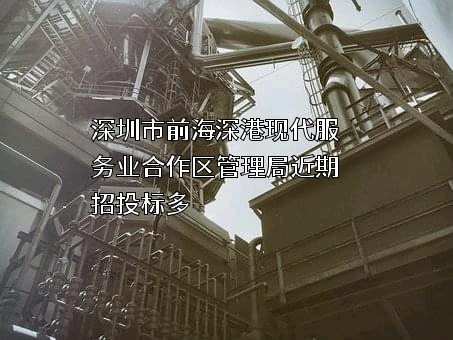 深圳市前海深港现代服务业合作区管理局
