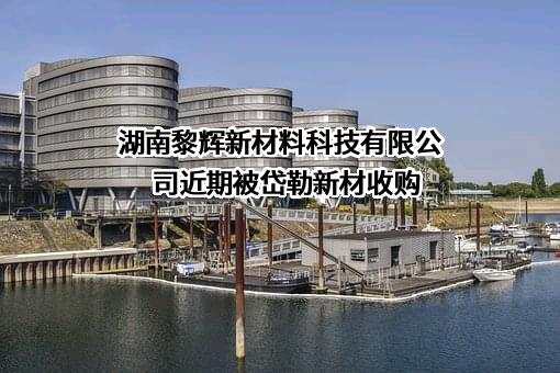 湖南黎辉新材料科技有限公司