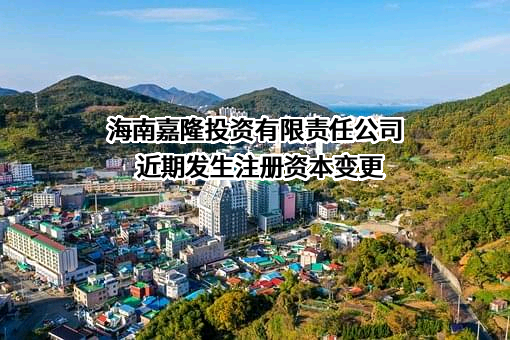 海南嘉隆投资有限责任公司