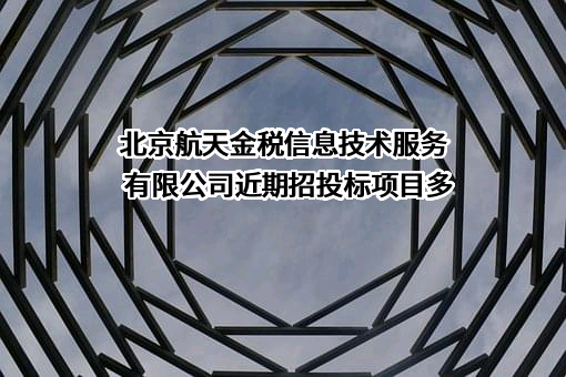 北京航天金税信息技术服务有限公司