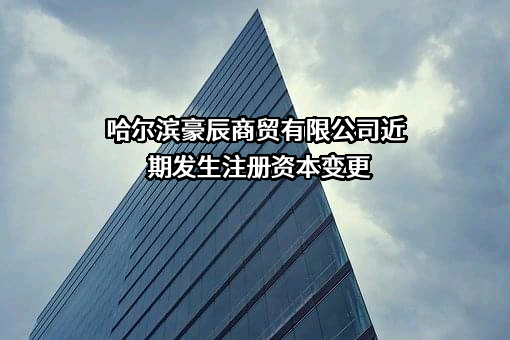 哈尔滨豪辰商贸有限公司