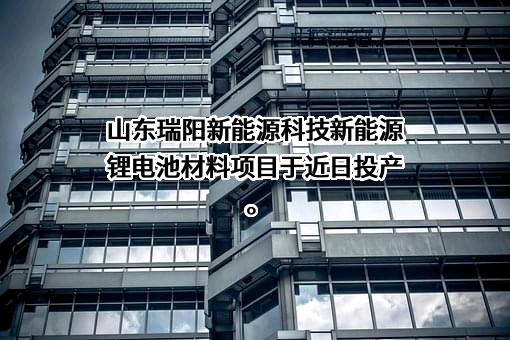 山东京阳科技股份有限公司