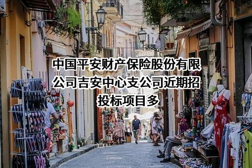 中国平安财产保险股份有限公司吉安中心支公司