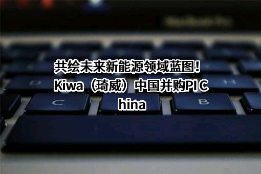 共绘未来新能源领域蓝图！Kiwa（琦威）中国并购PI China