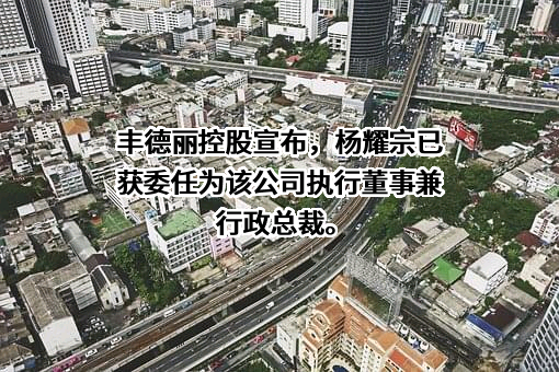 丰德丽控股有限公司