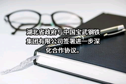 中国宝武钢铁集团有限公司