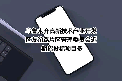 乌鲁木齐高新技术产业开发区友谊路片区管理委员会