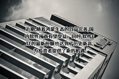 华为技术有限公司