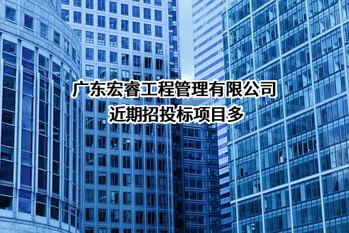 广东宏睿工程管理有限公司近期招投标项目多