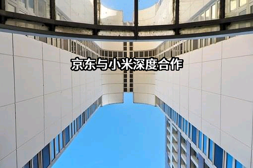 小米汽车有限公司