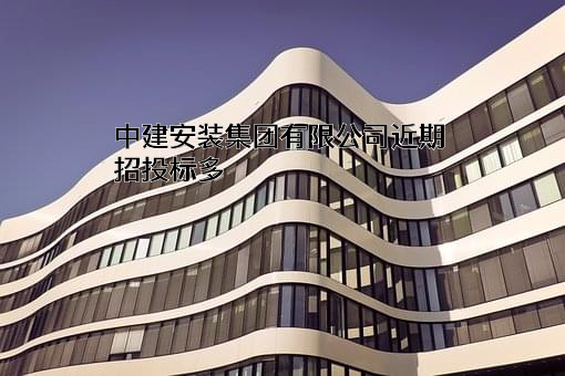 中建安装集团有限公司