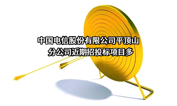 中国电信股份有限公司平顶山分公司