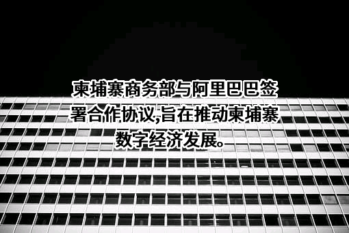 阿里巴巴（中国）网络技术有限公司