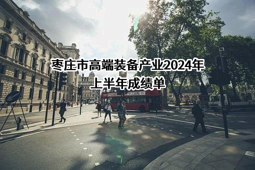 枣庄市高端装备产业2024年上半年成绩单