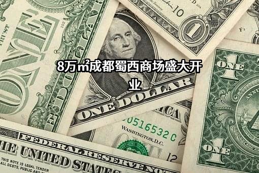 红星美凯龙家居集团股份有限公司