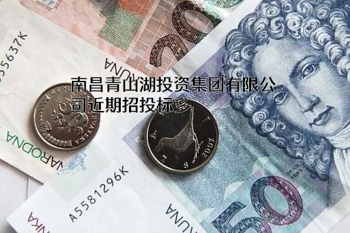 南昌青山湖投资集团有限公司