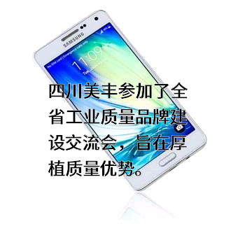 四川美丰化工股份有限公司