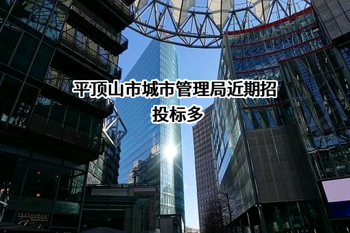 平顶山市城市管理局