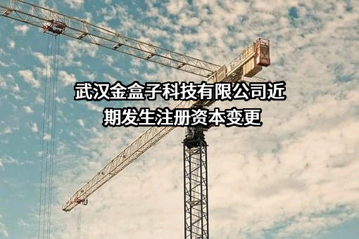 武汉金盒子科技有限公司