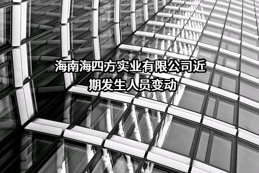 海南海四方实业有限公司