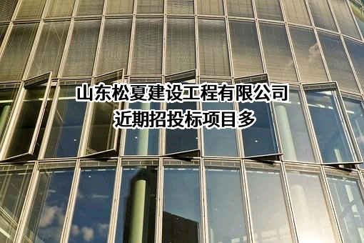 山东松夏建设工程有限公司