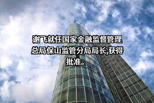 云南施甸农村商业银行股份有限公司