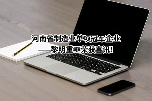 大连黎明重工有限公司