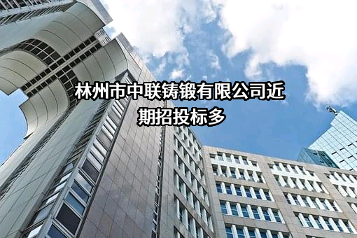 林州市中联铸锻有限公司