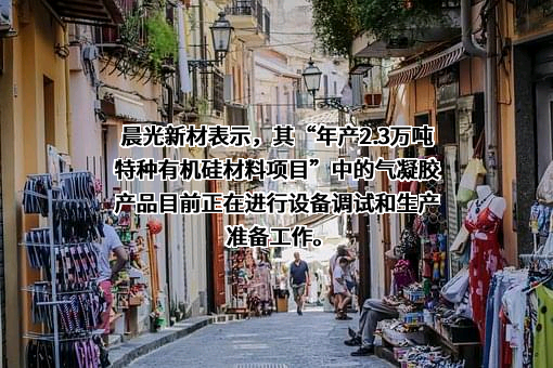 江西晨光新材料股份有限公司