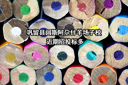 巩留县阔斯阿尕什羊场子校近期招投标项目多