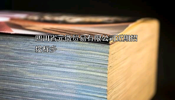四川省元微贸易有限公司