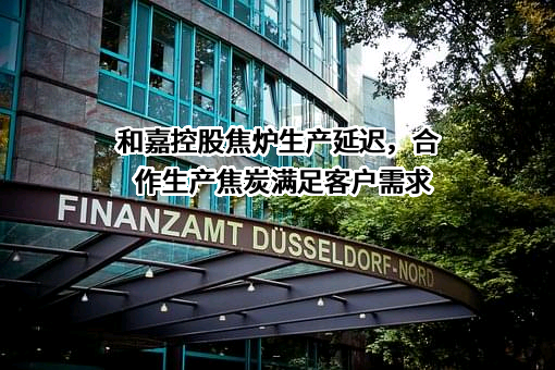 山西金岩能源嘉润有限责任公司