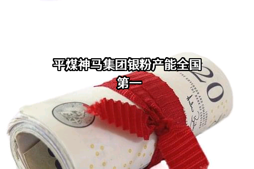 中国平煤神马集团尼龙科技有限公司