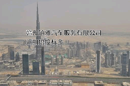 赣州铂雅汽车服务有限公司
