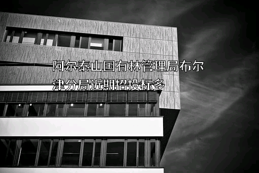 阿尔泰山国有林管理局布尔津分局