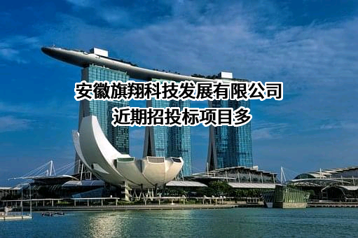 安徽旗翔科技发展有限公司