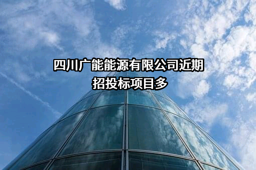 四川广能能源有限公司